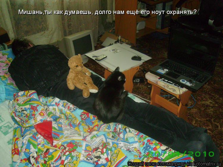 Мишань,ты как думаешь, долго нам ещё его ноут охранять?... Котоматрица: Мишань,ты как думаешь, долго нам ещё его ноут охранять?