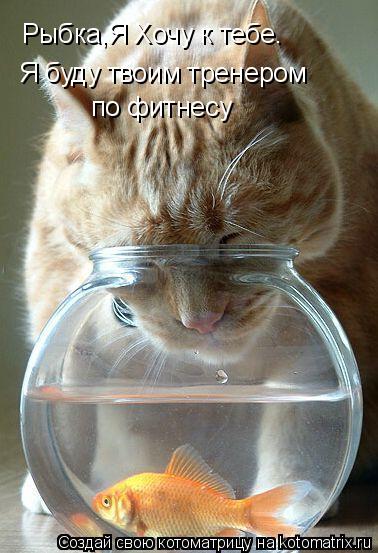 Рыбка,Я Хочу к тебе. Я буду твоим тренером по фитнесу... Котоматрица: Рыбка,Я Хочу к тебе. Я буду твоим тренером по фитнесу
