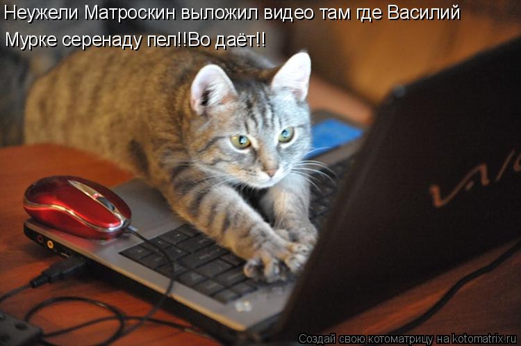 Неужели Матроскин выложил видео там где Василий Мурке серенаду пел!!Во даёт!!... Котоматрица: Неужели Матроскин выложил видео там где Василий Мурке серенаду пел!!Во даёт!!