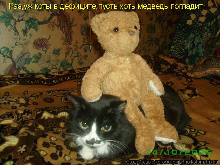 Раз уж коты в дефиците, пусть хоть медведь Раз,уж коты в дефиците,пусть хоть медведь погладит... Котоматрица: Раз уж коты в дефиците, пусть хоть медведь Раз,уж коты в дефиците,пусть хоть медведь погладит
