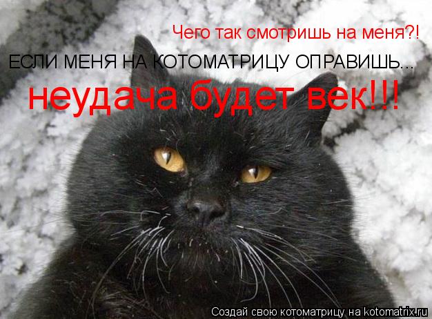 Чего так смотришь на меня?! ЕСЛИ МЕНЯ НА КОТОМАТРИЦУ ОПРАВИШЬ... неудача будет век!!!... Котоматрица: Чего так смотришь на меня?! ЕСЛИ МЕНЯ НА КОТОМАТРИЦУ ОПРАВИШЬ... неудача будет век!!!