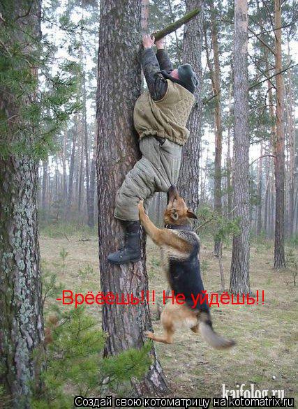 Котоматрица: -Врёёёшь!!! Не уйдёшь!! -Врёёёшь!!! Не уйдёшь!!
