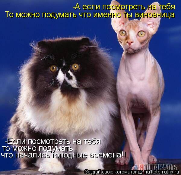 -Если посмотреть на тебя то можно подумать что начались голодные времена!! -А если посмотреть на теб... Котоматрица: -Если посмотреть на тебя то можно подумать что начались голодные времена!! -А если посмотреть на тебя То можно подумать что именно ты виновн