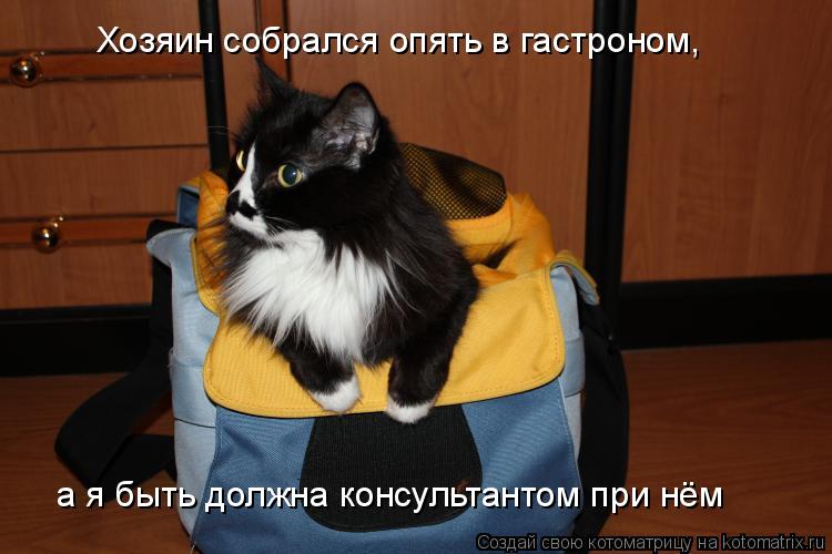 а я быть должна консультантом при нём Хозяин собрался опять в гастроном,... Котоматрица: а я быть должна консультантом при нём Хозяин собрался опять в гастроном,