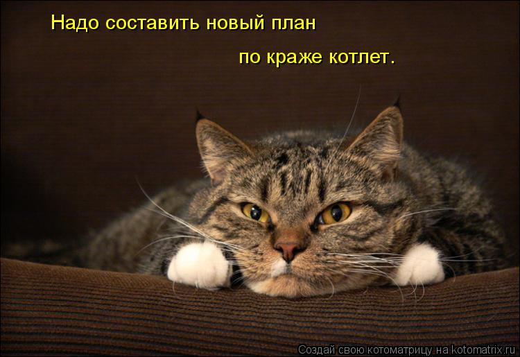 Надо составить новый план по краже котлет .... Котоматрица: Надо составить новый план по краже котлет .