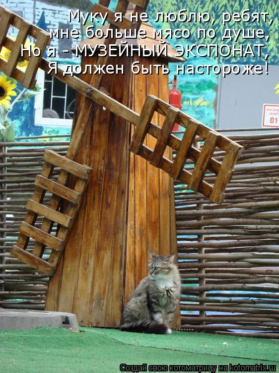 Муку я не люблю, ребят, мне больше мясо по душе, Но я - МУЗЕЙНЫЙ ЭКСПОНАТ, Я должен быть настороже!... Котоматрица: Муку я не люблю, ребят, мне больше мясо по душе, Но я - МУЗЕЙНЫЙ ЭКСПОНАТ, Я должен быть настороже!