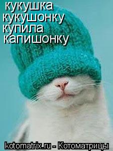 кукушка кукушонку купила капишонку... Котоматрица: кукушка кукушонку купила капишонку