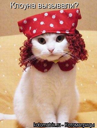 Клоуна вызывали?... Котоматрица: Клоуна вызывали?