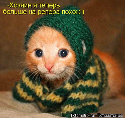 -Хозяин я теперь больше на репера похож!)... Котоматрица: -Хозяин я теперь больше на репера похож!)