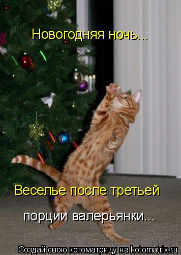 Новогодняя ночь... Веселье после третьей порции валерьянки...... Котоматрица: Новогодняя ночь... Веселье после третьей порции валерьянки...