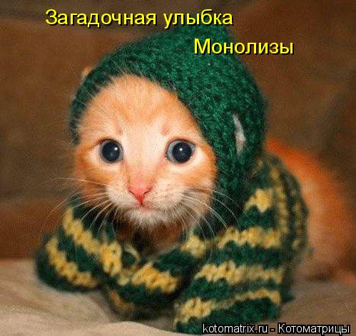Загадочная улыбка Монолизы... Котоматрица: Загадочная улыбка Монолизы