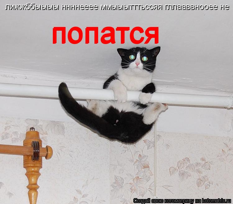 лижжббыыыы ннннееее ммыыытттьссяя гллааввнооее не попатся попатся попатся... Котоматрица: лижжббыыыы ннннееее ммыыытттьссяя гллааввнооее не попатся попатся попатся