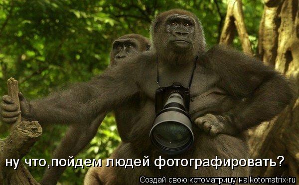 ну что,пойдем людей фотографировать?... Котоматрица: ну что,пойдем людей фотографировать?