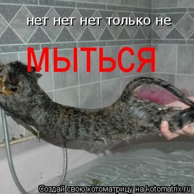 нет нет нет только не мыться... Котоматрица: нет нет нет только не мыться