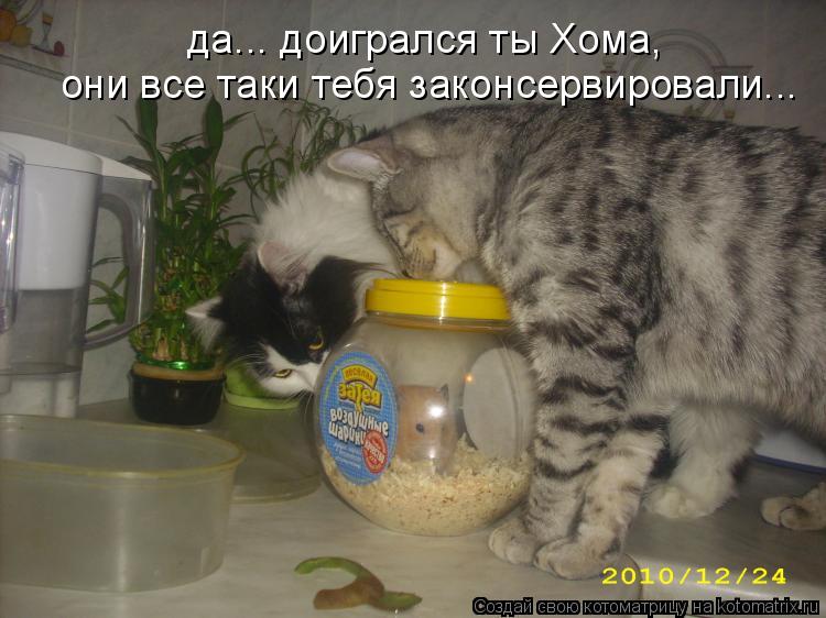 они все таки тебя законсервировали... да... доигрался ты Хома,... Котоматрица: они все таки тебя законсервировали... да... доигрался ты Хома,