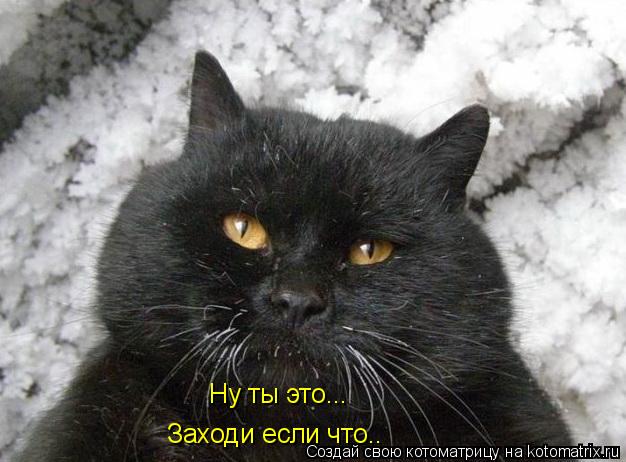Ну ты это... Заходи если что..... Котоматрица: Ну ты это... Заходи если что..