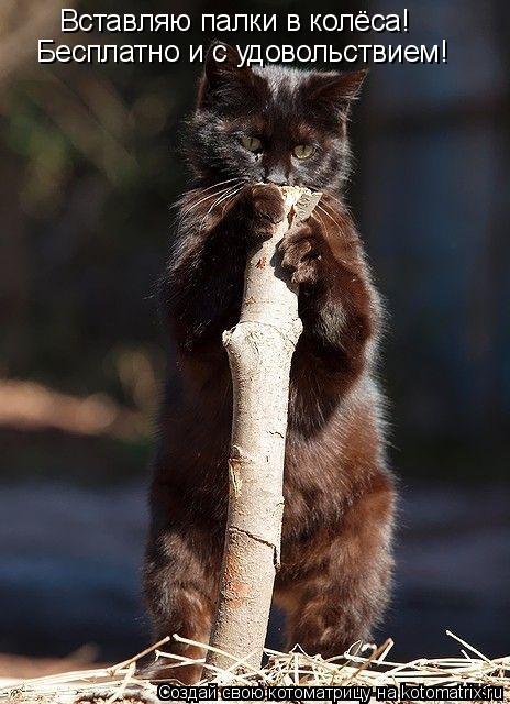 Вставляю палки в колёса! Бесплатно и с удовольствием!... Котоматрица: Вставляю палки в колёса! Бесплатно и с удовольствием!