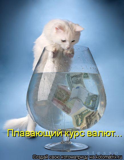 Плавающий курс валют...... Котоматрица: Плавающий курс валют...