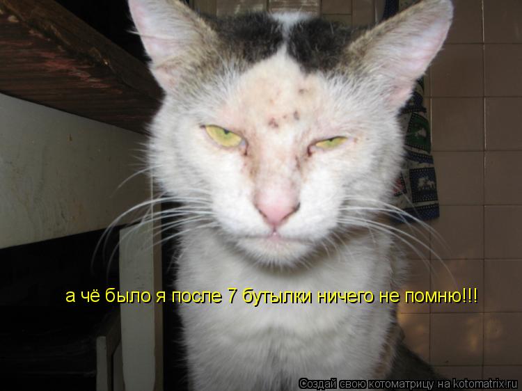 а чё было я после 7 бутылки ничего не помню!!! а чё было я после 7 бутылки ничего не помню!!!... Котоматрица: а чё было я после 7 бутылки ничего не помню!!! а чё было я после 7 бутылки ничего не помню!!!