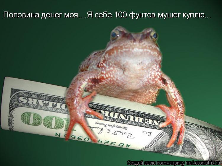 Половина денег моя....Я себе 100 фунтов мушег куплю...... Котоматрица: Половина денег моя....Я себе 100 фунтов мушег куплю...