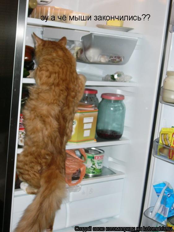 эу а чё мыши закончились?? эу а чё мыши закончились??... Котоматрица: эу а чё мыши закончились?? эу а чё мыши закончились??