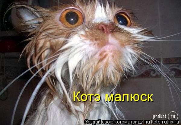 Котэ малюск... Котоматрица: Котэ малюск