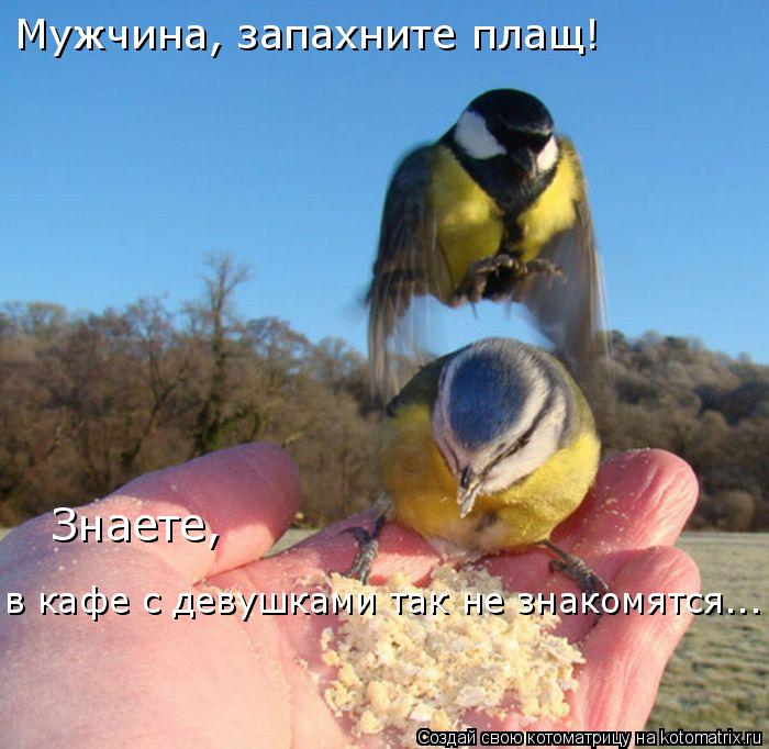 Мужчина, запахните плащ! Знаете, в кафе с девушками так не знакомятся...... Котоматрица: Мужчина, запахните плащ! Знаете, в кафе с девушками так не знакомятся...