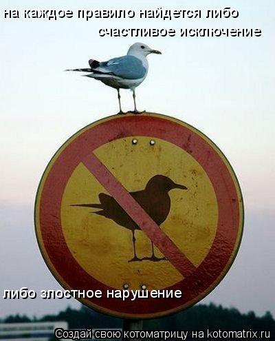 на каждое правило найдется либо счастливое исключение либо злостное нарушение... Котоматрица: на каждое правило найдется либо счастливое исключение либо злостное нарушение