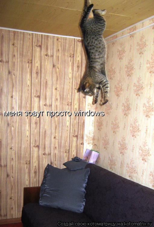 меня зовут просто windows... Котоматрица: меня зовут просто windows