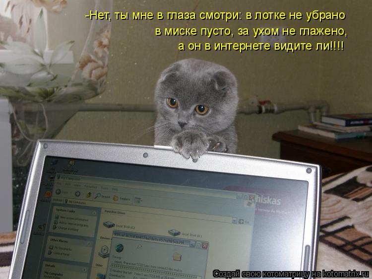 -Нет, ты мне в глаза смотри: в лотке не убрано а он в интернете видите ли!!!! в миске пусто, за ухом ... Котоматрица: -Нет, ты мне в глаза смотри: в лотке не убрано а он в интернете видите ли!!!! в миске пусто, за ухом не глажено,