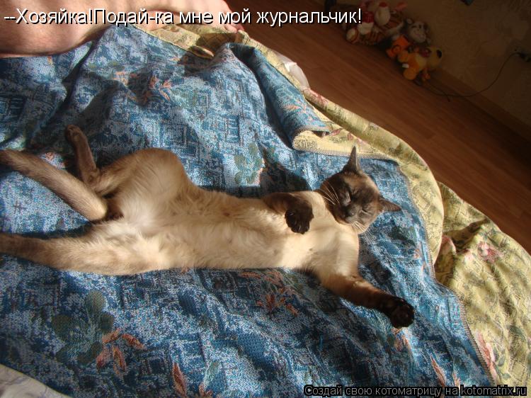 --Хозяйка!Подай-ка мне мой журнальчик!... Котоматрица: --Хозяйка!Подай-ка мне мой журнальчик!