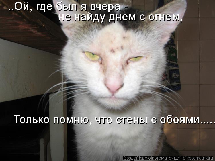 ..Ой, где был я вчера - не найду днем с огнем, Только помню, что стены с обоями......... Котоматрица: ..Ой, где был я вчера - не найду днем с огнем, Только помню, что стены с обоями......
