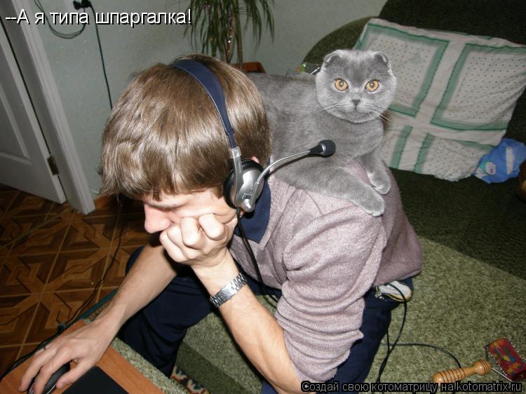 --А я типа шпаргалка!... Котоматрица: --А я типа шпаргалка!