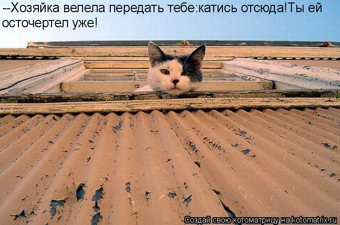 --Хозяйка велела передать тебе:катись отсюда!Ты ей осточертел уже!... Котоматрица: --Хозяйка велела передать тебе:катись отсюда!Ты ей осточертел уже!