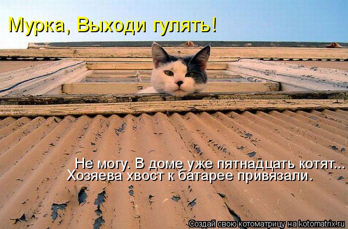 Котоматрица: Мурка, Выходи гулять! Не могу. В доме уже пятнадцать котят... Хозяева хвост к батарее привязали.