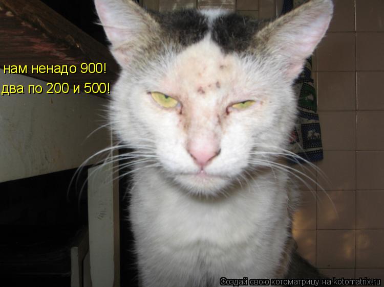 нам ненадо 900! два по 200 и 500!... Котоматрица: нам ненадо 900! два по 200 и 500!