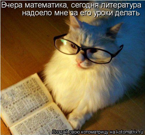 Вчера математика, сегодня литература надоело мне за его уроки делать... Котоматрица: Вчера математика, сегодня литература надоело мне за его уроки делать
