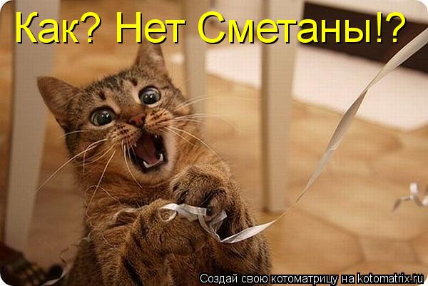 Как? Нет Сметаны!?... Котоматрица: Как? Нет Сметаны!?