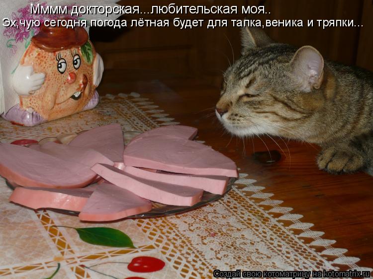 Котоматрица: Мммм докторская...любительская моя.. Эх,чую сегодня погода лётная будет для тапка,веника и тряпки...