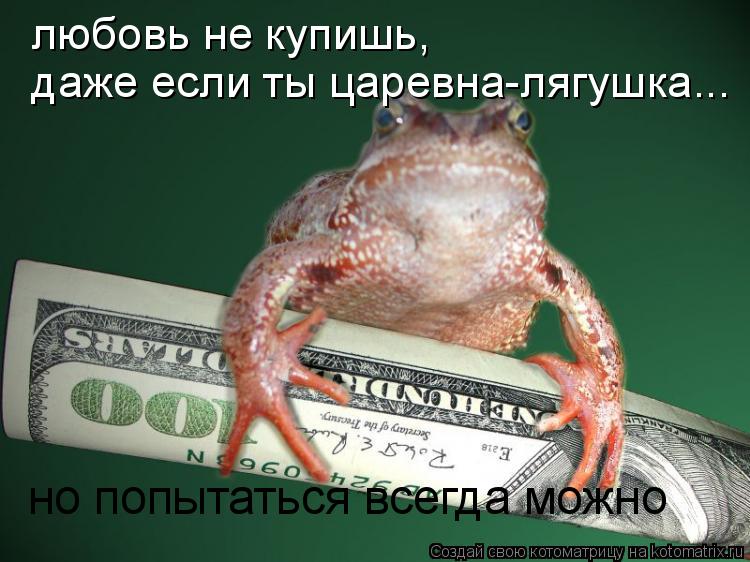 любовь не купишь, даже если ты царевна-лягушка... но попытаться всегда можно... Котоматрица: любовь не купишь, даже если ты царевна-лягушка... но попытаться всегда можно