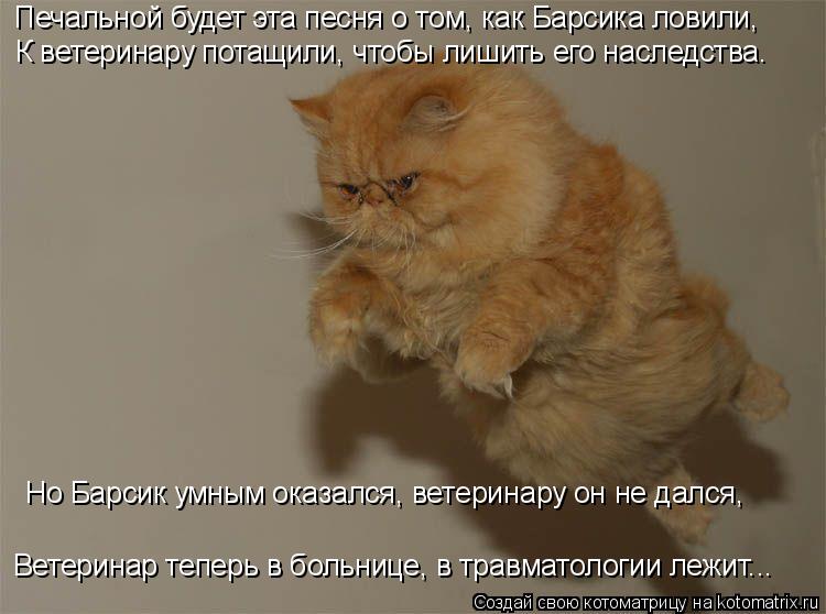 Печальной будет эта песня о том, как Барсика ловили, К ветеринару потащили, чтобы лишить его наследс... Котоматрица: Печальной будет эта песня о том, как Барсика ловили, К ветеринару потащили, чтобы лишить его наследства. Но Барсик умным оказался, ветерина