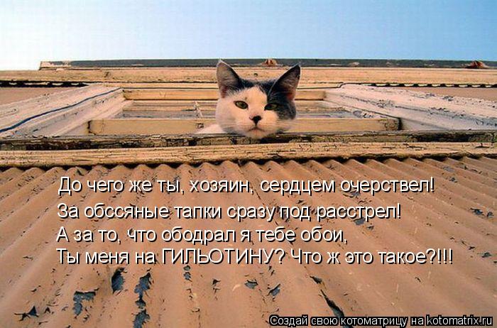 До чего же ты, хозяин, сердцем очерствел! За обссяные тапки сразу под расстрел! А за то, что ободрал ... Котоматрица: До чего же ты, хозяин, сердцем очерствел! За обссяные тапки сразу под расстрел! А за то, что ободрал я тебе обои, Ты меня на ГИЛЬОТИНУ? Что ж эт