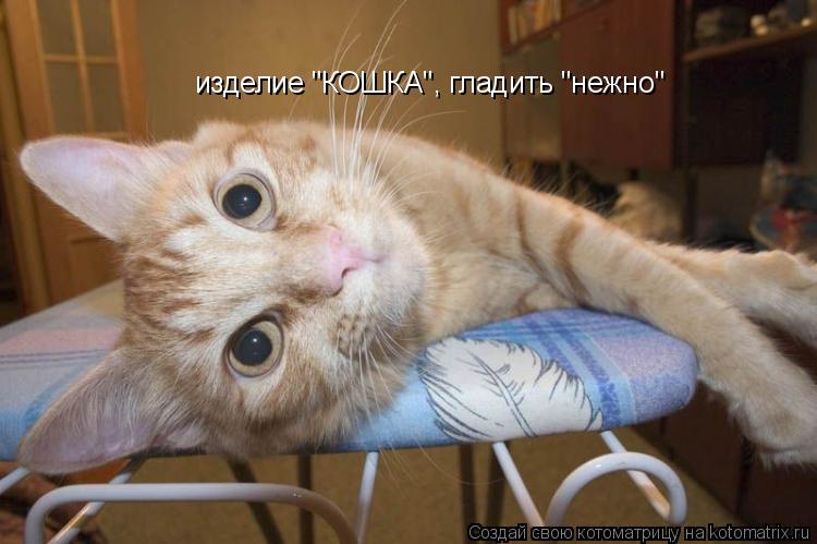 изделие "КОШКА", гладить "нежно"... Котоматрица: изделие "КОШКА", гладить "нежно"