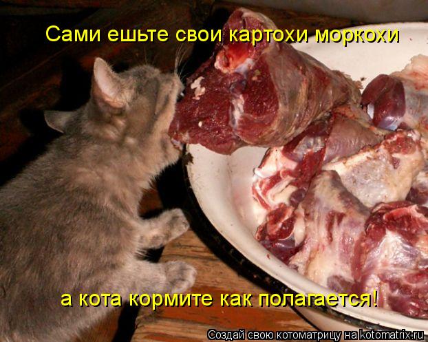 Сами ешьте свои картохи моркохи а кота кормите как полагается!... Котоматрица: Сами ешьте свои картохи моркохи а кота кормите как полагается!