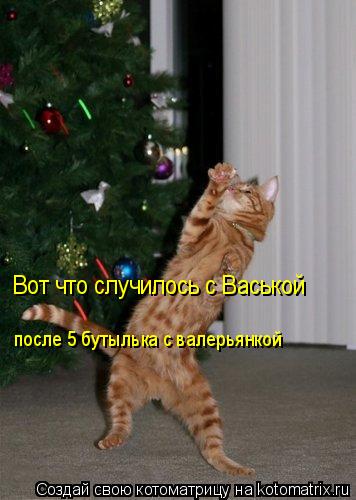 Вот что случилось с Васькой после 5 бутылька с валерьянкой... Котоматрица: Вот что случилось с Васькой после 5 бутылька с валерьянкой
