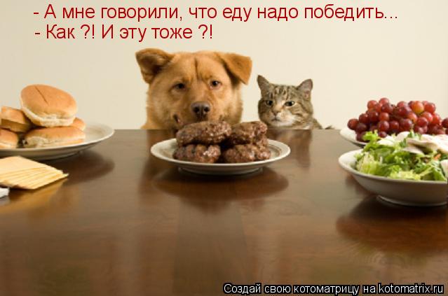 - А мне говорили, что еду надо победить... - Как ?! И эту тоже ?!... Котоматрица: - А мне говорили, что еду надо победить... - Как ?! И эту тоже ?!