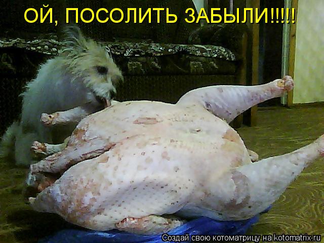 ОЙ, ПОСОЛИТЬ ЗАБЫЛИ!!!!!... Котоматрица: ОЙ, ПОСОЛИТЬ ЗАБЫЛИ!!!!!
