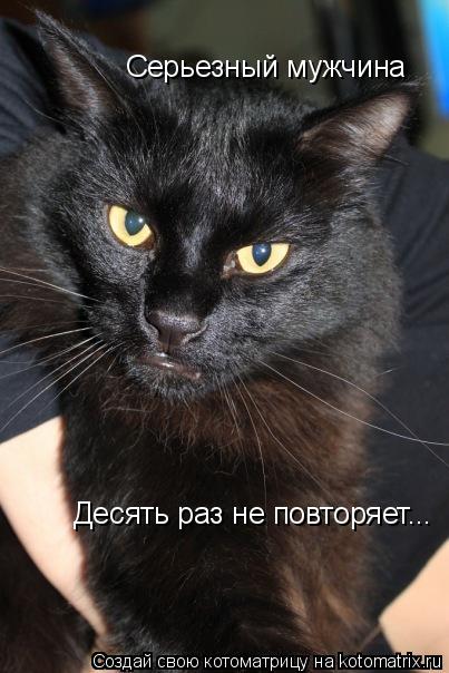 Серьезный мужчина Десять раз не повторяет...... Котоматрица: Серьезный мужчина Десять раз не повторяет...