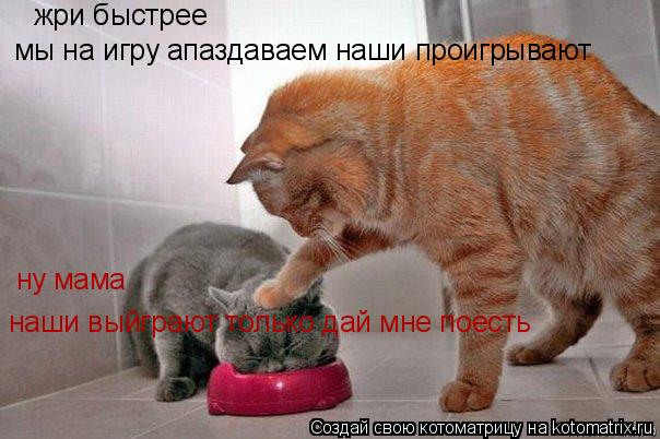 жри быстрее ну мама мы на игру апаздаваем наши проигрывают наши выйграют только дай мне поесть... Котоматрица: жри быстрее ну мама мы на игру апаздаваем наши проигрывают наши выйграют только дай мне поесть