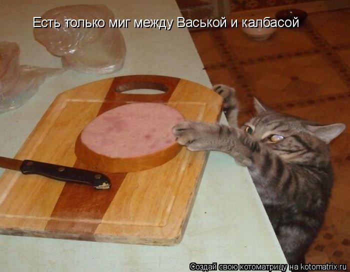 Есть только миг между Васькой и калбасой... Котоматрица: Есть только миг между Васькой и калбасой